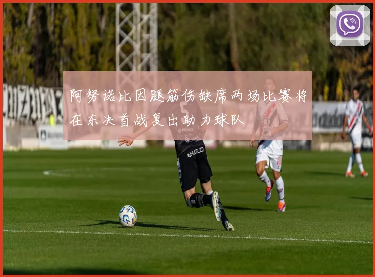 阿努诺比因腿筋伤缺席两场比赛将在东决首战复出助力球队